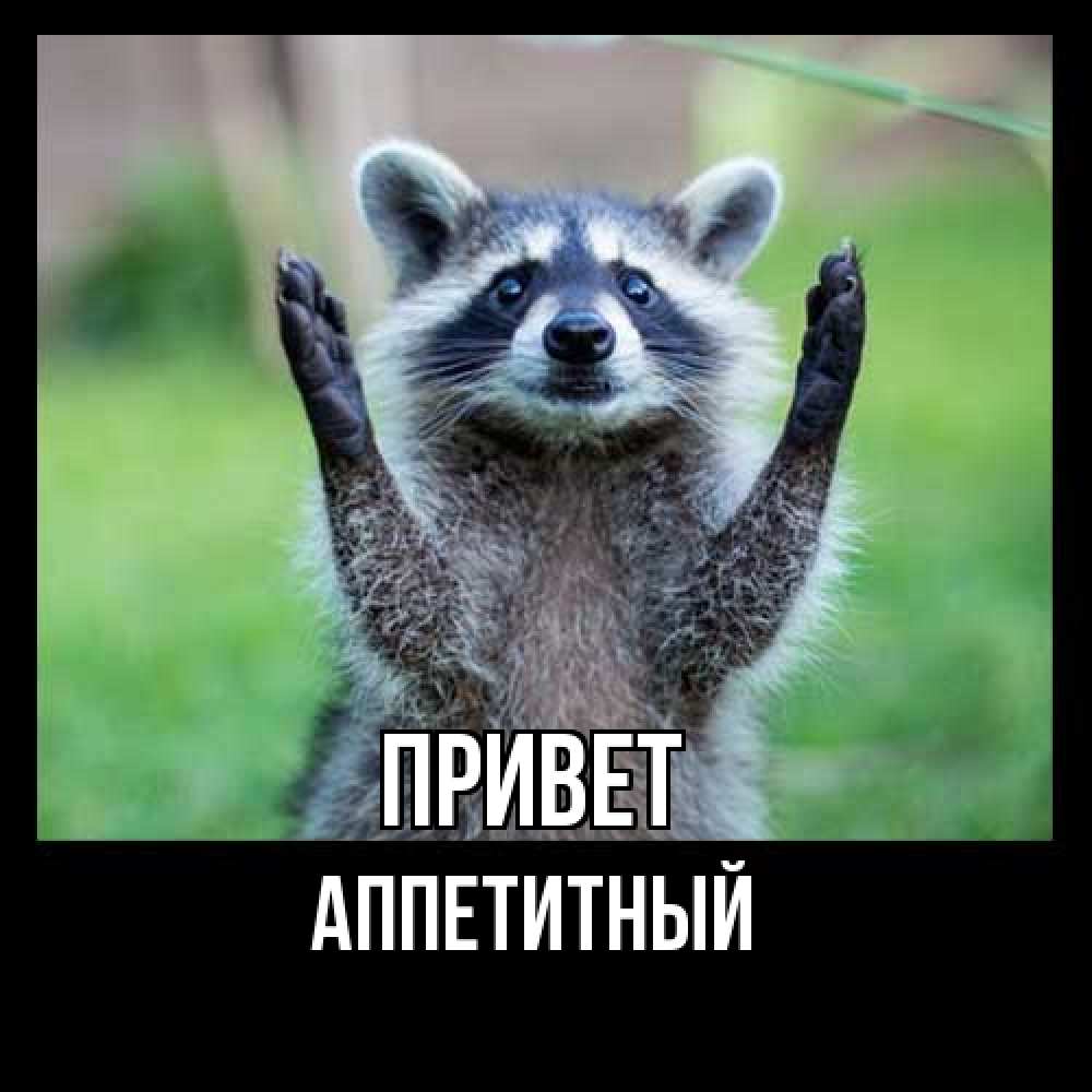Открытка на каждый день с именем, Аппетитный Привет животные Прикольная открытка с пожеланием онлайн скачать бесплатно 