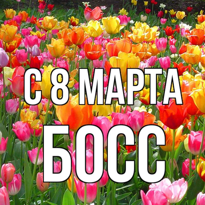 Картинка C 8 МАРТА, Босс