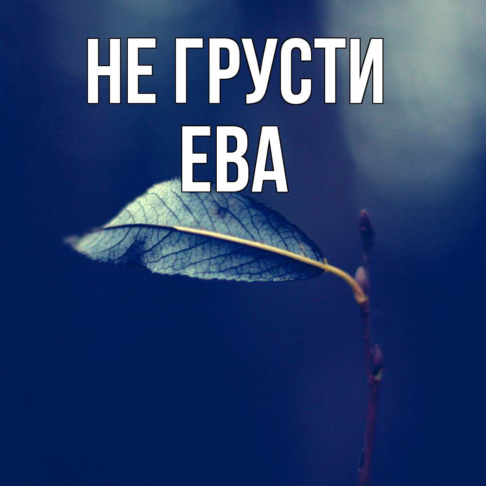 Открытка на каждый день с именем, Ева Не грусти растение Прикольная открытка с пожеланием онлайн скачать бесплатно 