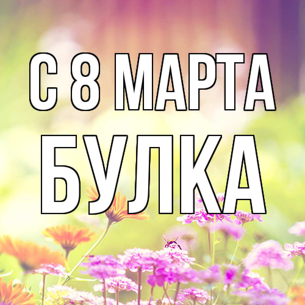 Открытка на каждый день с именем, Булка C 8 МАРТА цветы весна Прикольная открытка с пожеланием онлайн скачать бесплатно 