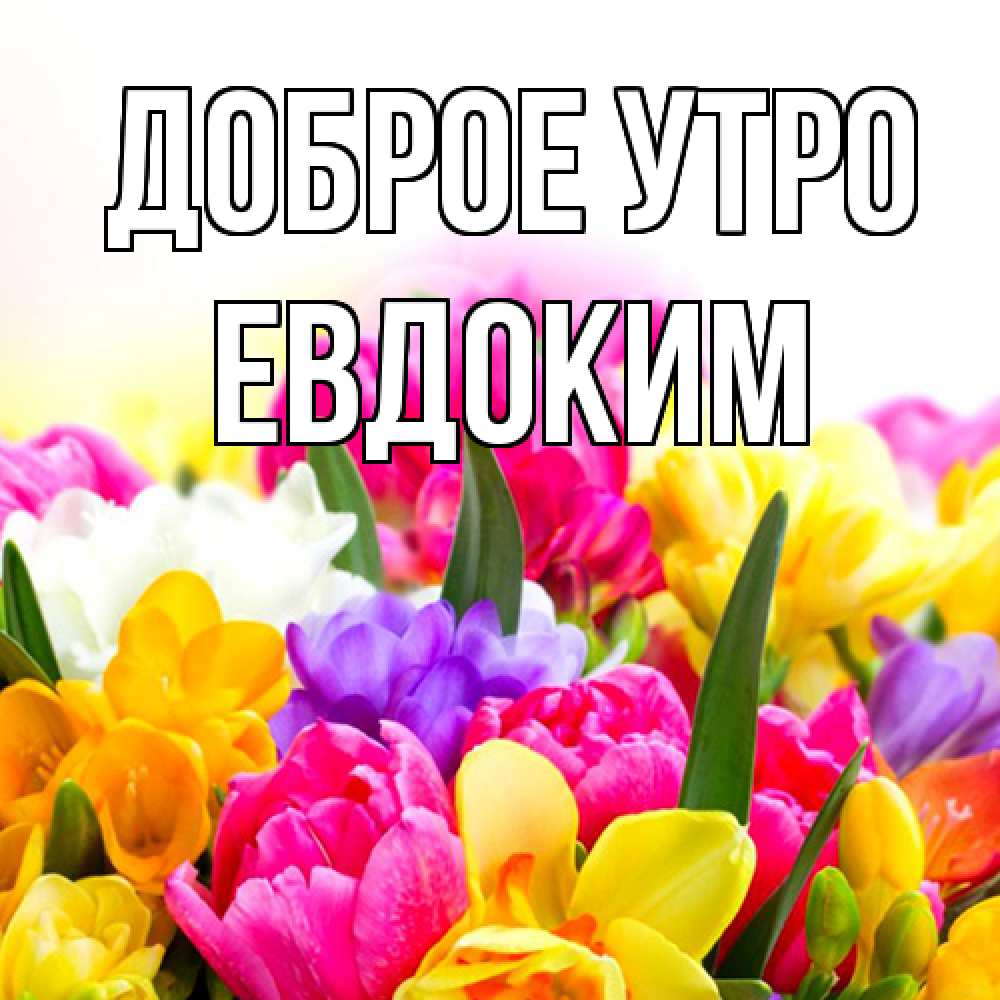 Открытка на каждый день с именем, Евдоким Доброе утро создать открытку со свое подписью Прикольная открытка с пожеланием онлайн скачать бесплатно 