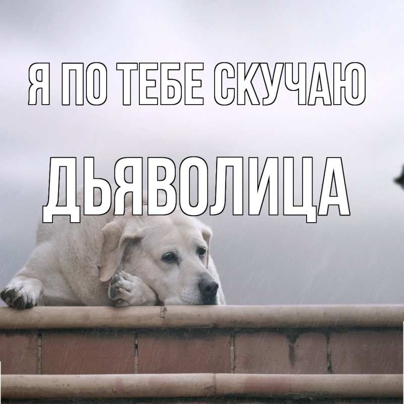 Картинка Я по тебе скучаю, Дьяволица