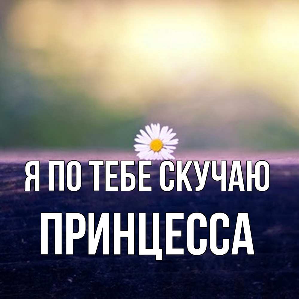 Открытка на каждый день с именем, Принцесса Я по тебе скучаю приходи в гости Прикольная открытка с пожеланием онлайн скачать бесплатно 