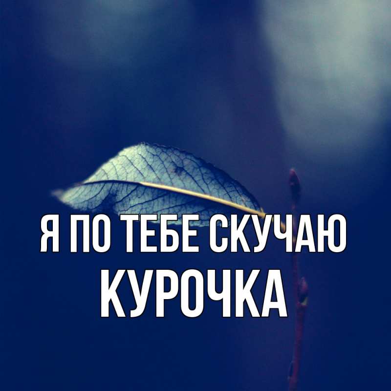 Картинка Я по тебе скучаю, Курочка