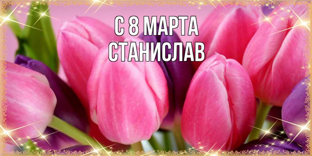 Открытка на каждый день с именем, Станислав C 8 МАРТА тюльпаны для женщины на международный женский день Прикольная открытка с пожеланием онлайн скачать бесплатно 