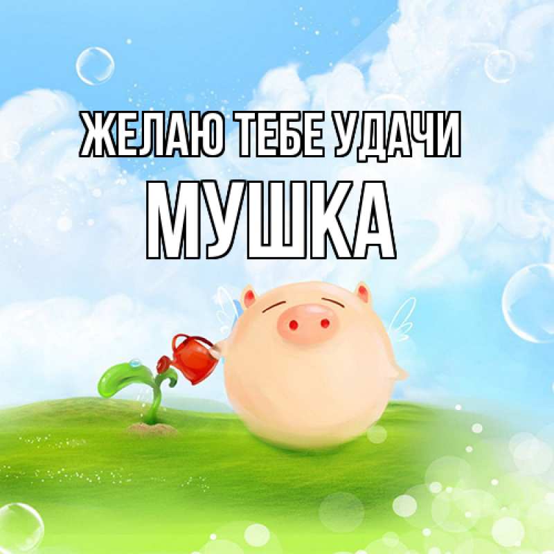 Картинка Желаю тебе удачи, мушка