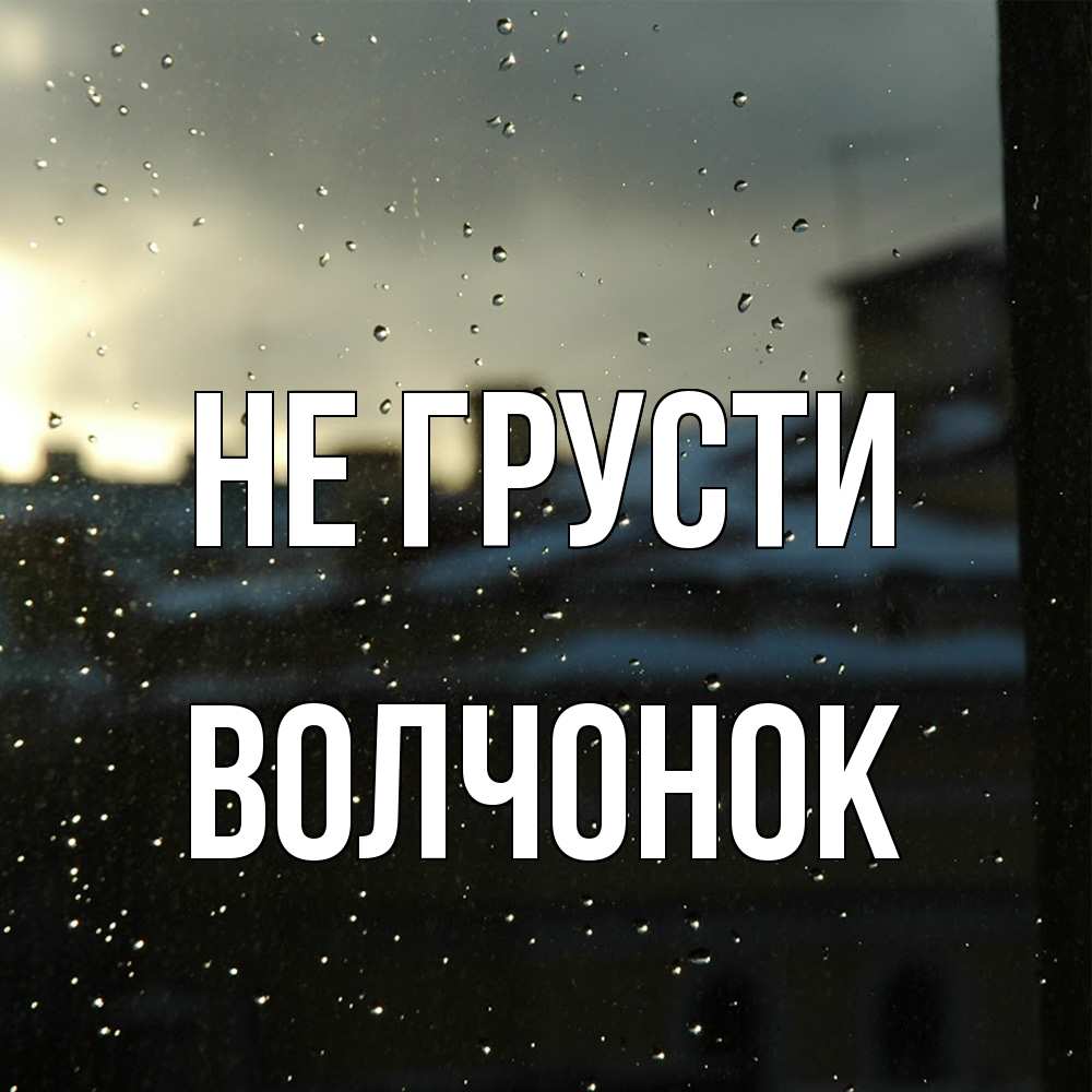Открытка на каждый день с именем, Волчонок Не грусти вид на крыши Прикольная открытка с пожеланием онлайн скачать бесплатно 