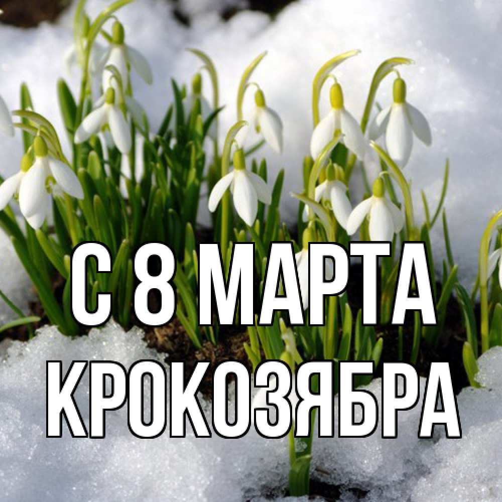 Открытка на каждый день с именем, Крокозябра C 8 МАРТА цветы весенние Прикольная открытка с пожеланием онлайн скачать бесплатно 