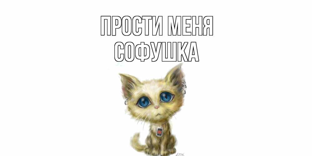 Открытка на каждый день с именем, Софушка Прости меня прости меня открытка с котиком Прикольная открытка с пожеланием онлайн скачать бесплатно 
