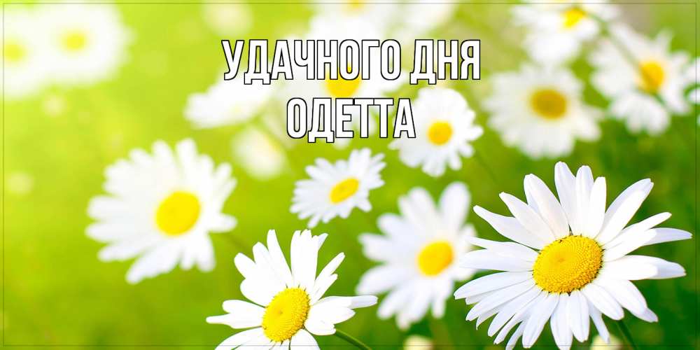 Открытка на каждый день с именем, Одетта Удачного дня открытка с ромашками на зеленом фоне Прикольная открытка с пожеланием онлайн скачать бесплатно 