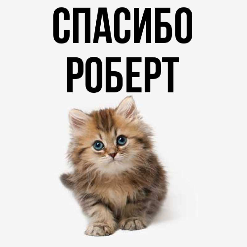 Картинка Спасибо, Роберт