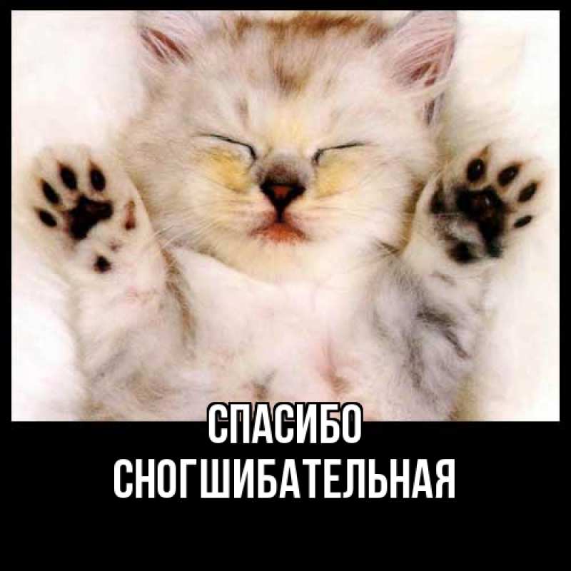 Картинка Спасибо, Сногшибательная
