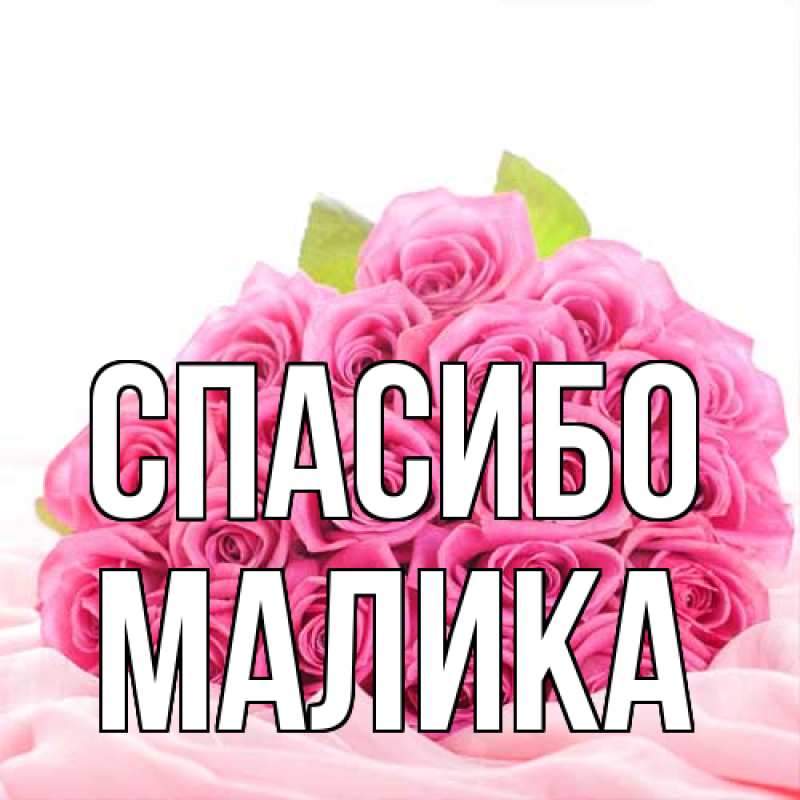 Картинка Спасибо, Малика