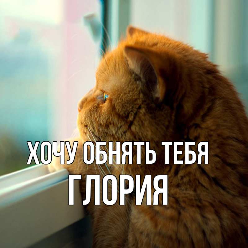 Картинка Хочу обнять тебя, Глория