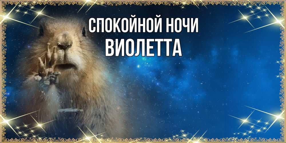 Открытка на каждый день с именем, Виолетта Спокойной ночи спокойной ночи сладких снов Прикольная открытка с пожеланием онлайн скачать бесплатно 