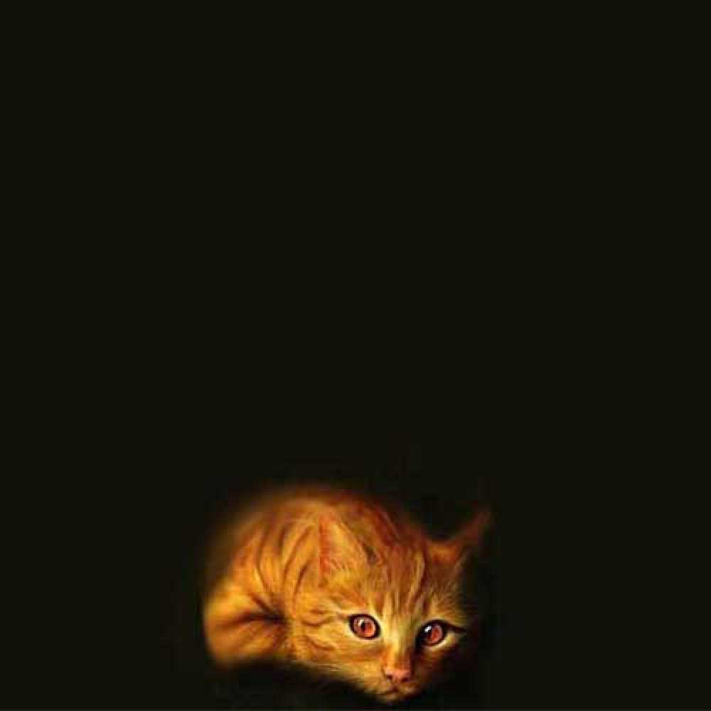 Открытка на каждый день с именем, Альбина Не грусти лежащий кот в темноте Прикольная открытка с пожеланием онлайн скачать бесплатно 