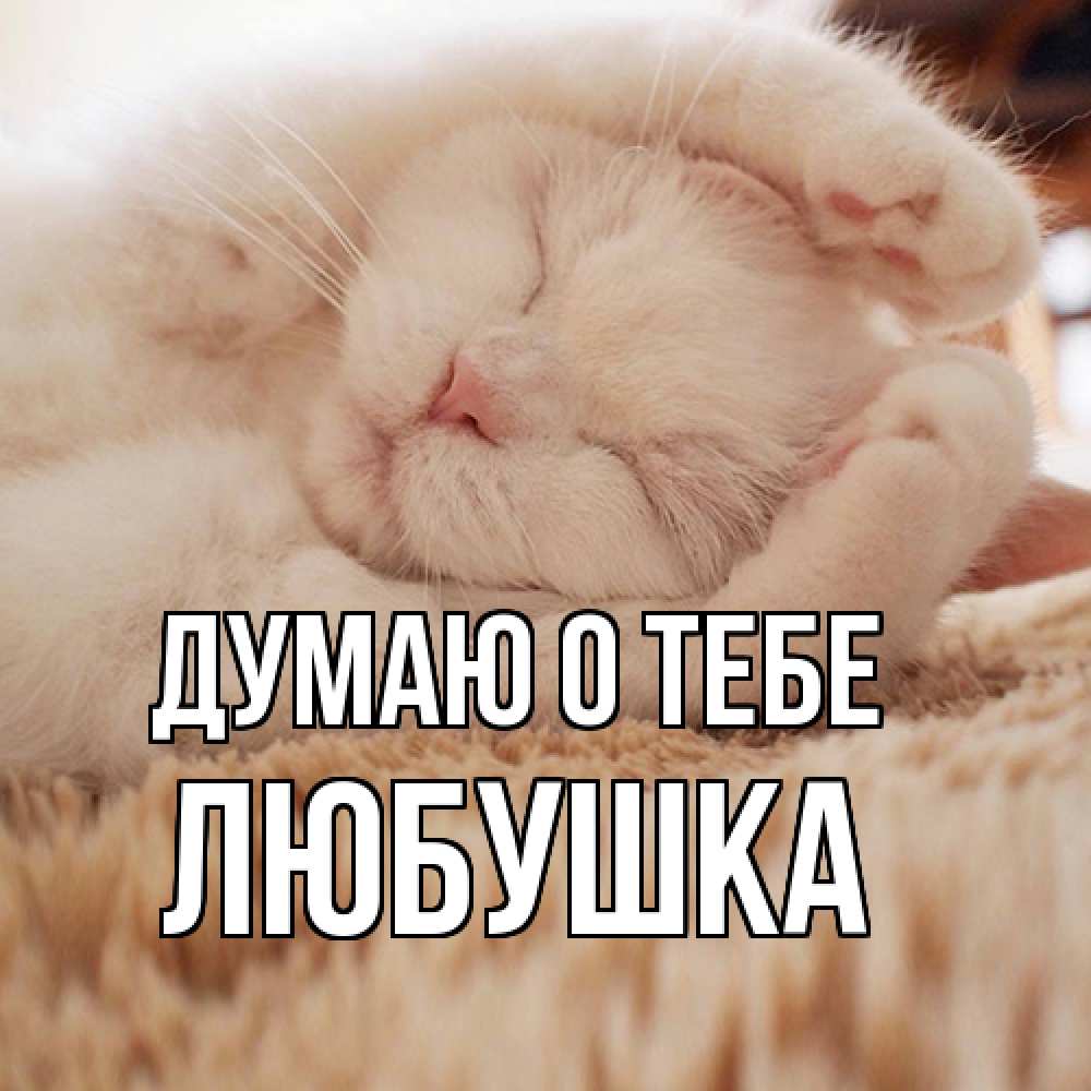 Открытка на каждый день с именем, Любушка Думаю о тебе для любимой девушки милота Прикольная открытка с пожеланием онлайн скачать бесплатно 