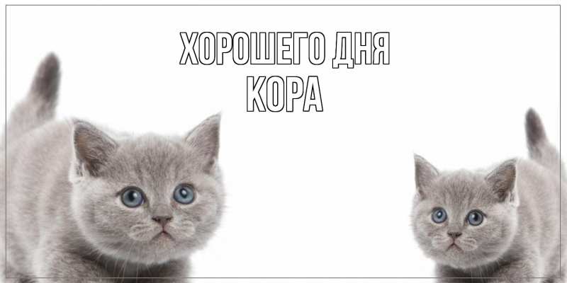 Картинка Хорошего дня, Кора