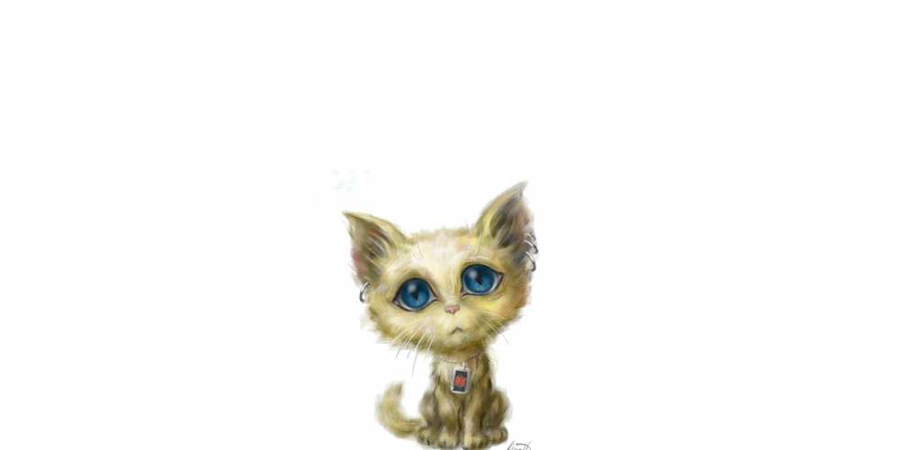 Открытка на каждый день с именем, Миленькая Прости меня прости меня открытка с котиком Прикольная открытка с пожеланием онлайн скачать бесплатно 
