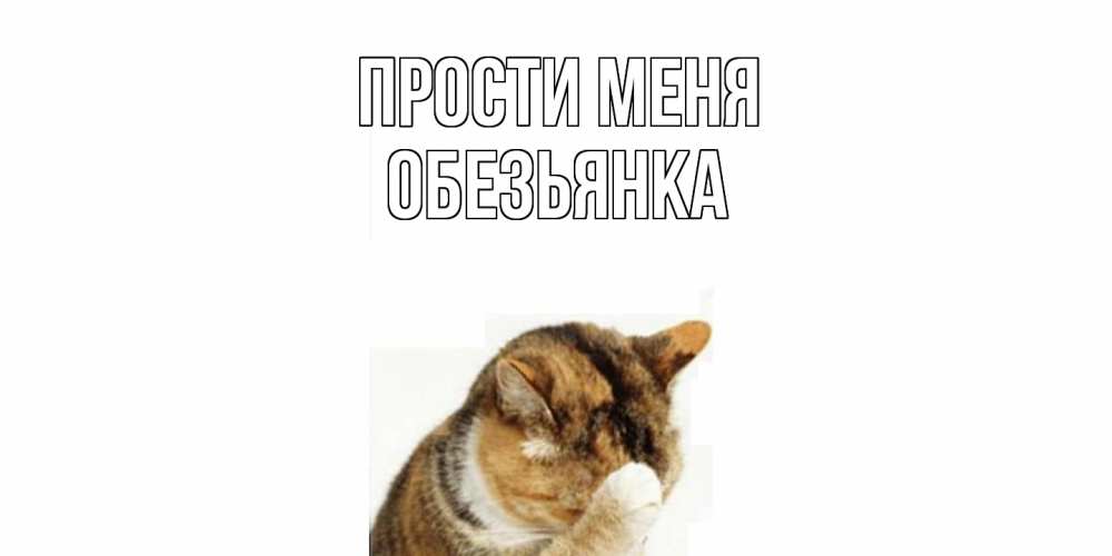 Открытка на каждый день с именем, Обезьянка Прости меня кот Прикольная открытка с пожеланием онлайн скачать бесплатно 