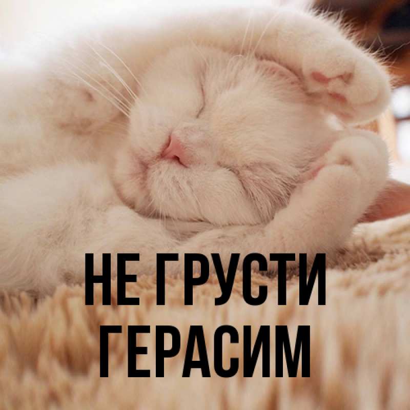 Картинка Не грусти, Герасим