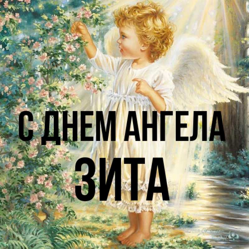 Картинка С днем ангела, Зита