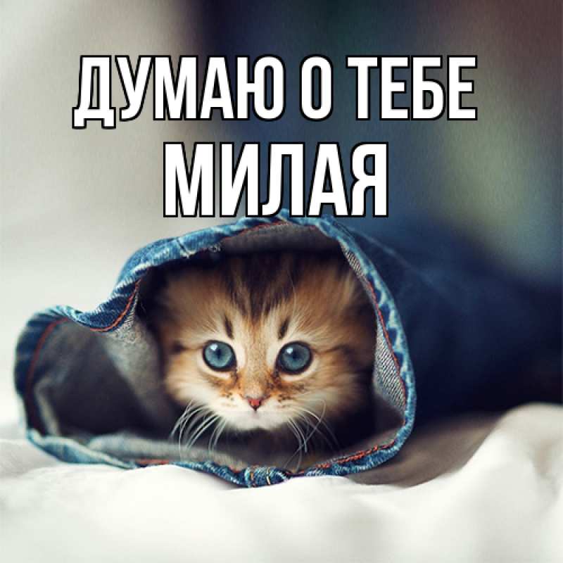 Картинка Думаю о тебе, Милая