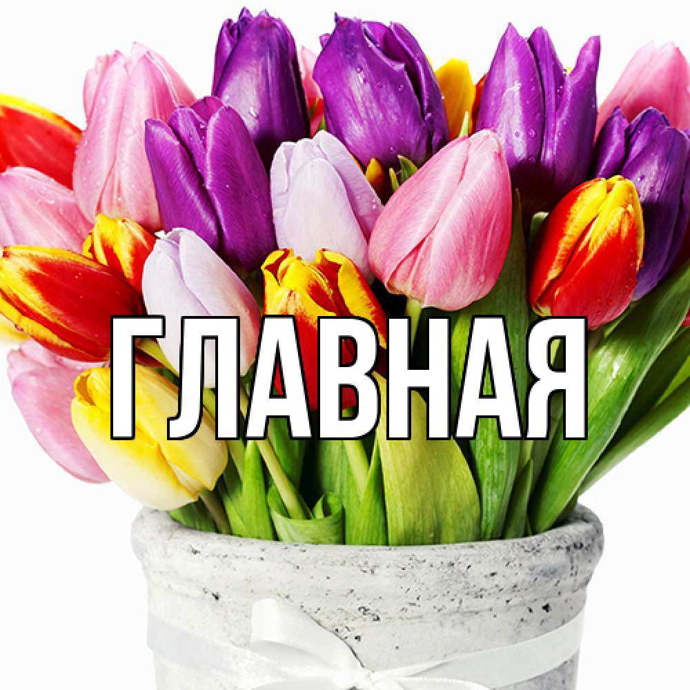 Открытка на каждый день с именем, настя Главная букет Прикольная открытка с пожеланием онлайн скачать бесплатно 