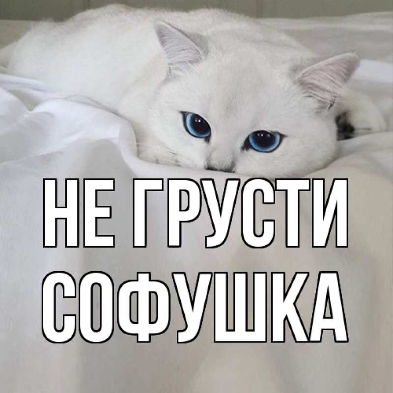 Картинка Не грусти, Софушка