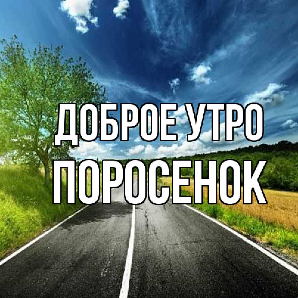 Открытка на каждый день с именем, Поросенок Доброе утро дорога и небо Прикольная открытка с пожеланием онлайн скачать бесплатно 