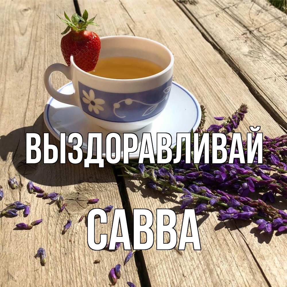 Открытка на каждый день с именем, Савва Выздоравливай чай Прикольная открытка с пожеланием онлайн скачать бесплатно 