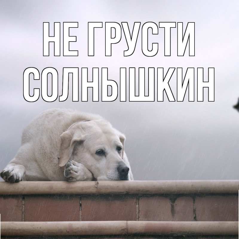 Картинка Не грусти, Солнышкин
