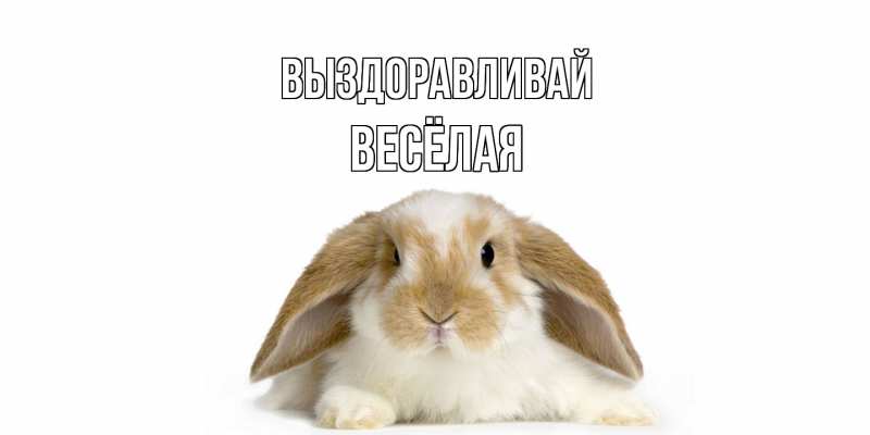 Картинка Выздоравливай, Весёлая