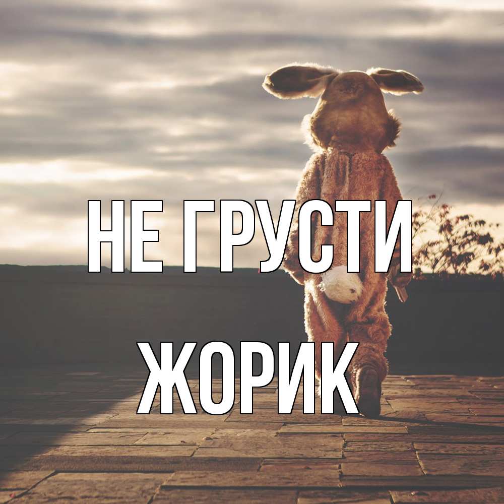 Открытка на каждый день с именем, жорик Не грусти со спины Прикольная открытка с пожеланием онлайн скачать бесплатно 