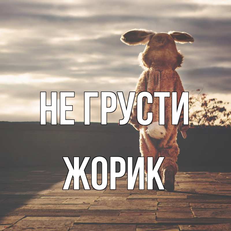 Картинка Не грусти, жорик