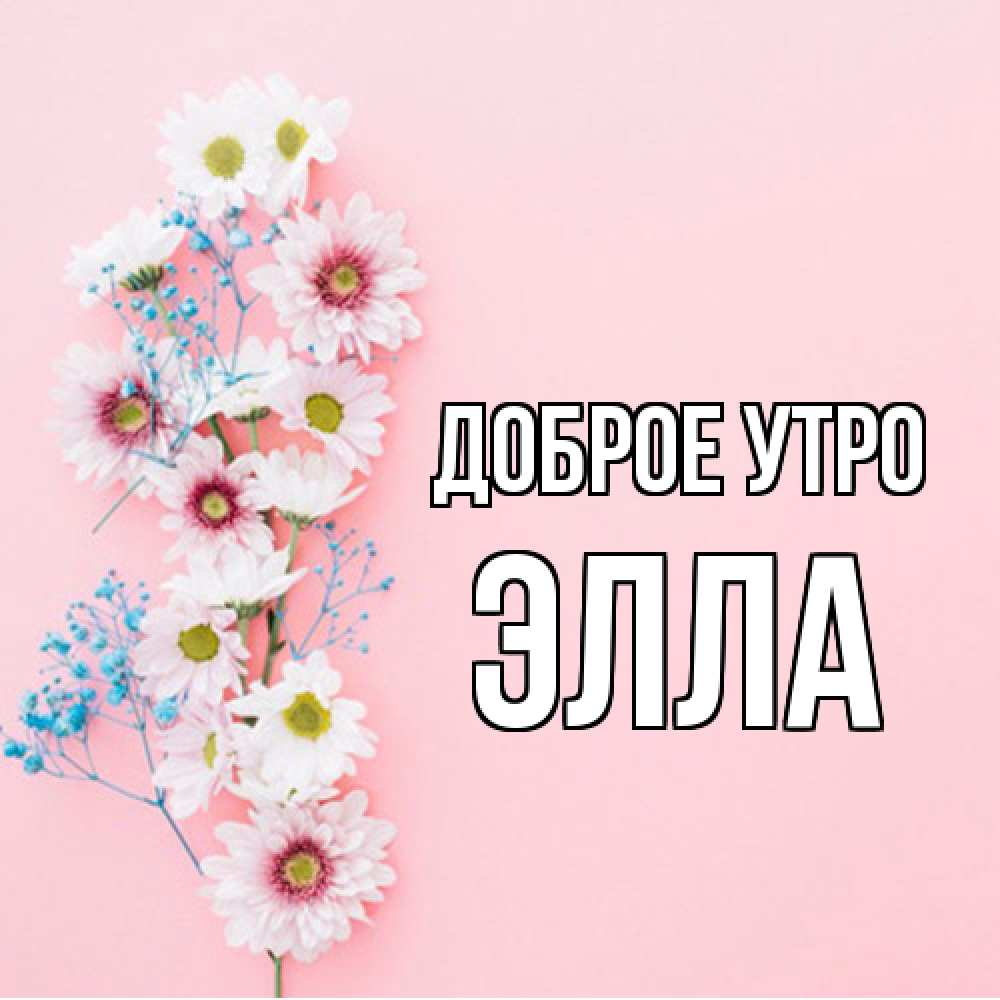 Открытка на каждый день с именем, Элла Доброе утро цветы с подписью Прикольная открытка с пожеланием онлайн скачать бесплатно 