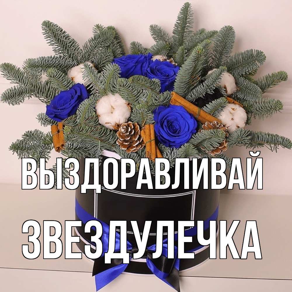 Открытка на каждый день с именем, Звездулечка Выздоравливай короче кто то загрузил эти шишки Прикольная открытка с пожеланием онлайн скачать бесплатно 