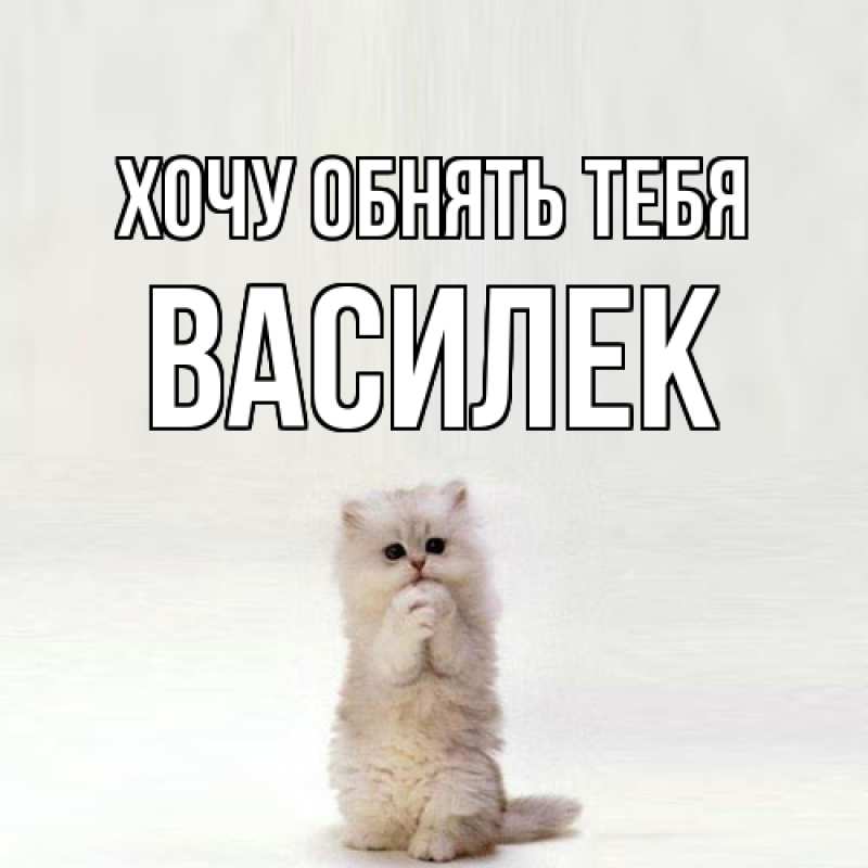 Картинка Хочу обнять тебя, василек