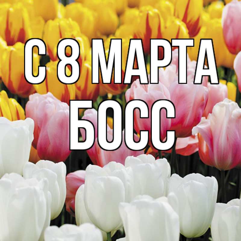 Картинка C 8 МАРТА, Босс