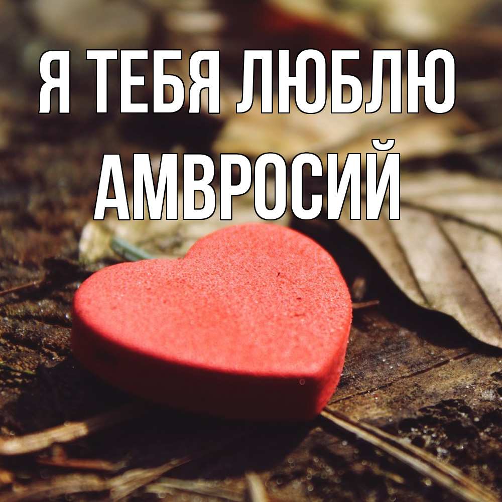 Открытка на каждый день с именем, Амвросий Я тебя люблю листья деревье 4 Прикольная открытка с пожеланием онлайн скачать бесплатно 