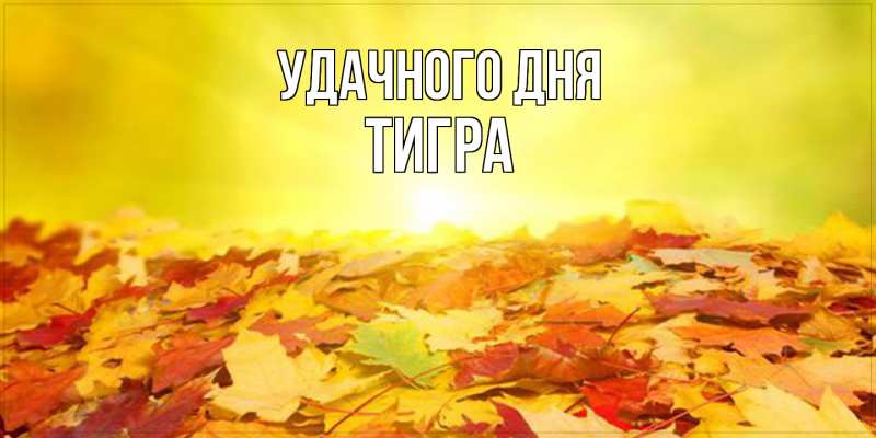 Картинка Удачного дня, Тигpа