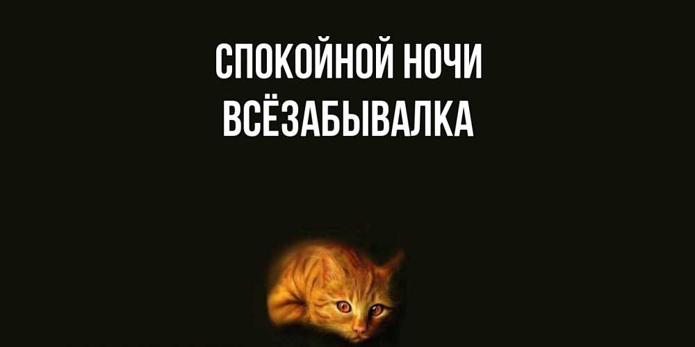 Открытка на каждый день с именем, Всёзабывалка Спокойной ночи кот Прикольная открытка с пожеланием онлайн скачать бесплатно 