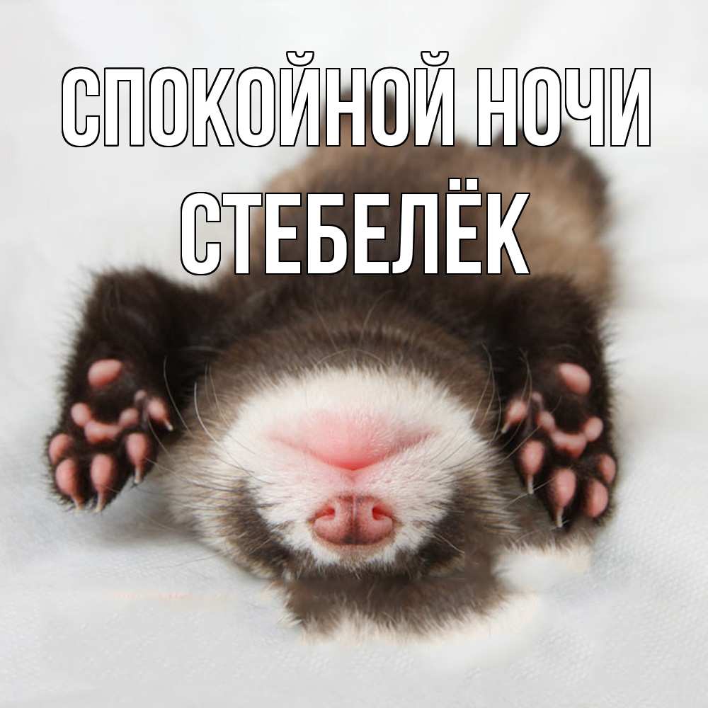 Открытка на каждый день с именем, Стебелёк Спокойной ночи зверек Прикольная открытка с пожеланием онлайн скачать бесплатно 