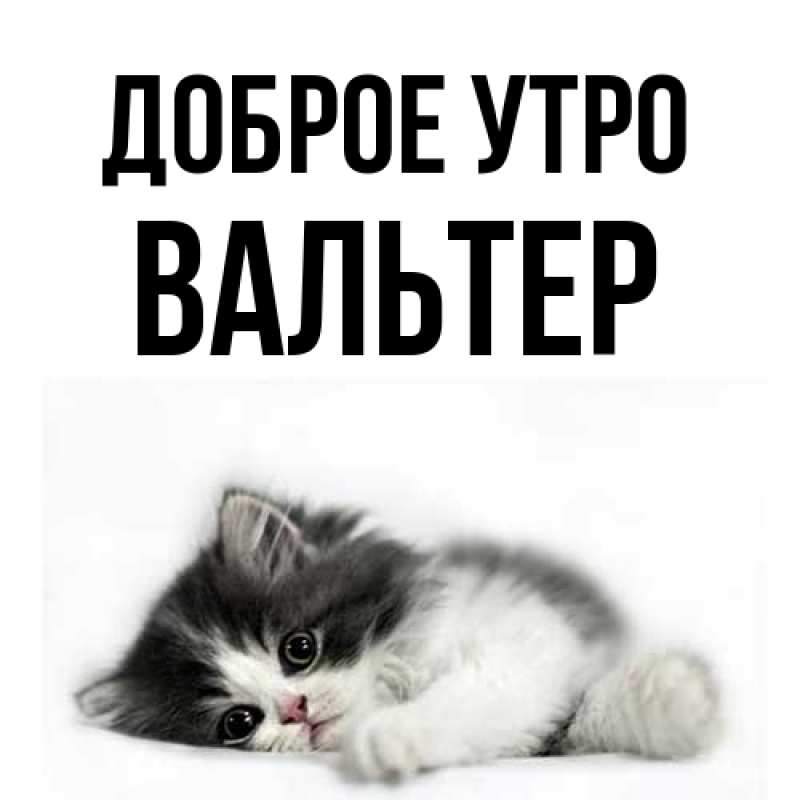 Картинка Доброе утро, Вальтер