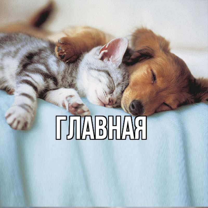 Открытка с именем, Выздоравливай, 