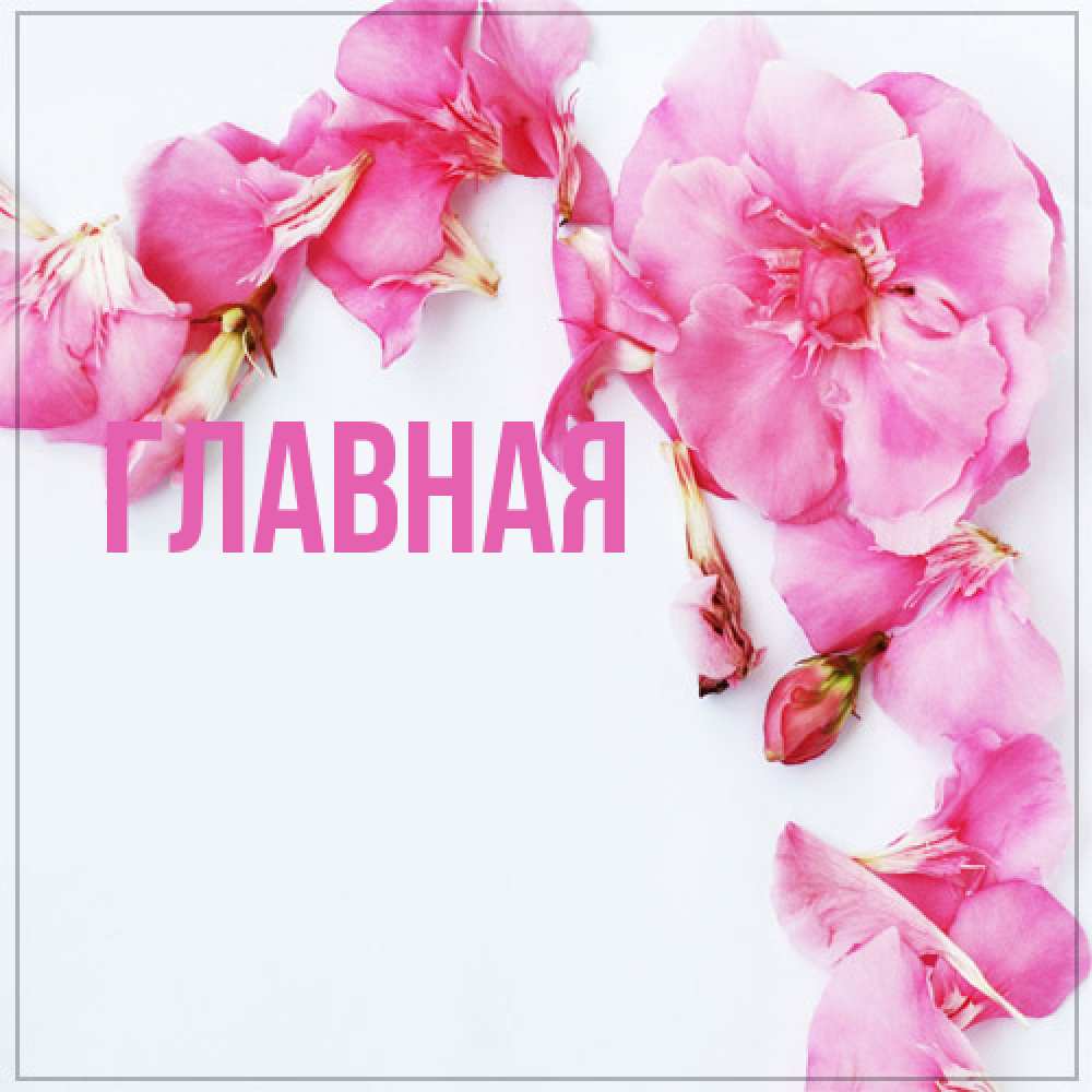 Открытка на каждый день с именем, настя Главная Красивая открытка для поздравления с днем рождения Прикольная открытка с пожеланием онлайн скачать бесплатно 