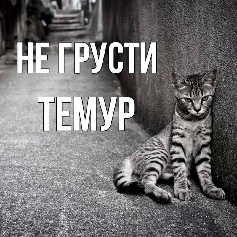 Картинка Не грусти, Темур