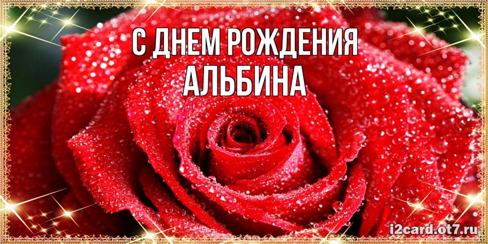 Открытка на каждый день с именем, Альбина С днем рождения роса и роза. открытка с красивой розой Прикольная открытка с пожеланием онлайн скачать бесплатно 