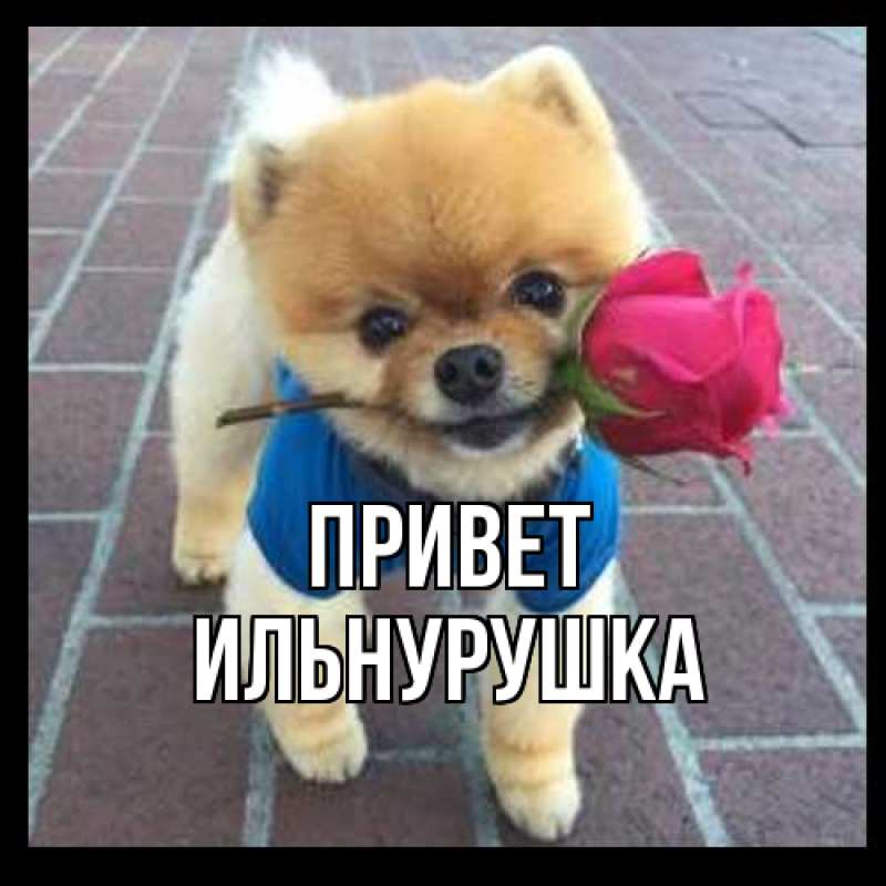 Картинка Привет, Ильнурушка