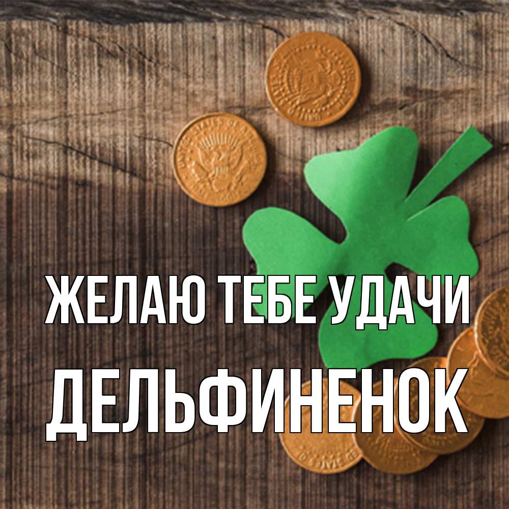 Открытка на каждый день с именем, дельфиненок Желаю тебе удачи на удачу сегодня Прикольная открытка с пожеланием онлайн скачать бесплатно 
